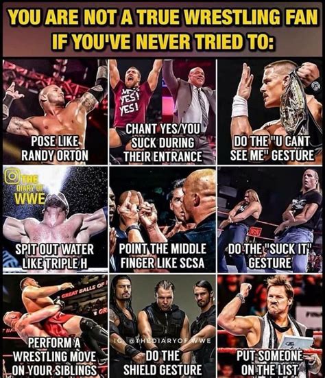 best wrestling memes